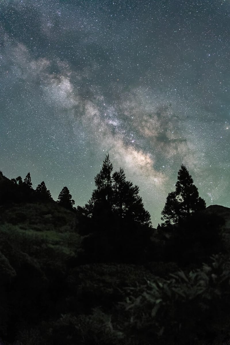 Dreamscape